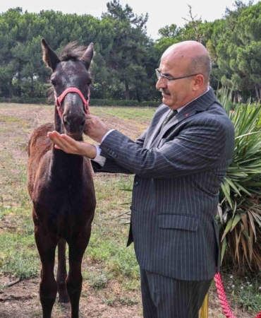 Vali Demirtaş’tan Askeri Veteriner Okulu’na ziyaret