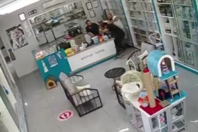 Veteriner hekime saldıran 3 kişi serbest kaldı