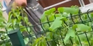 Yağmur sonrası köprü şelaleye döndü, çocuklar böyle eğlendi