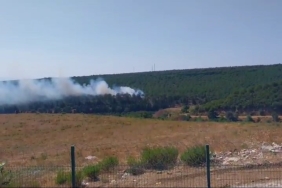 Yalova’da 2 ayrı noktada orman yangını