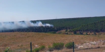 Yalova’da 2 ayrı noktada orman yangını