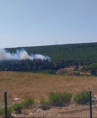 Yalova’da 2 ayrı noktada orman yangını