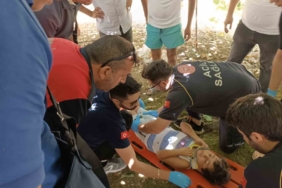 Yalova’da 5’inci kattan düşen çocuğu kivi asması kurtardı