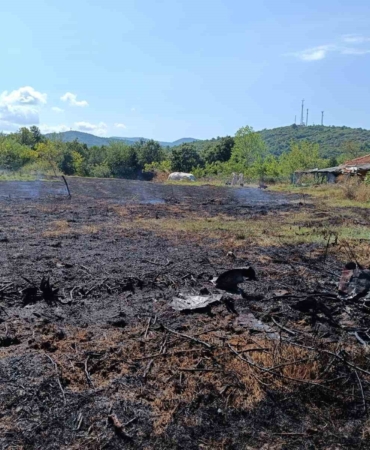 Yalova’da iki noktada çıkan orman yangınları ile ilgili savcılık soruşturma başlattı