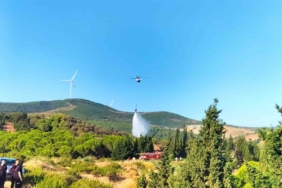 Yalova’da iki noktada çıkan yangınlar kontrol altına alındı