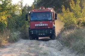 Yalova’da mangal yangına sebep oldu