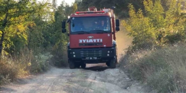 Yalova’da mangal yangına sebep oldu