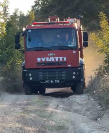 Yalova’da mangal yangına sebep oldu