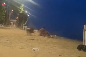 Yalova’da sahilde güreş antrenmanı yapan genci köpek ısırdı