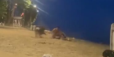 Yalova’da sahilde güreş antrenmanı yapan genci köpek ısırdı