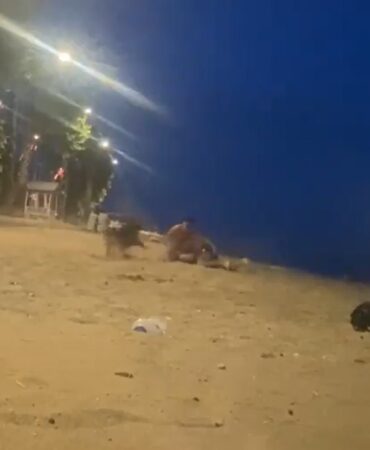 Yalova’da sahilde güreş antrenmanı yapan genci köpek ısırdı