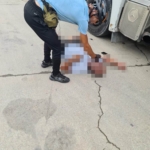 Yalova’da tır şoförü aracının yanında ölü bulundu