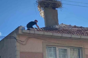 Yaralı leyleği itfaiye kurtardı