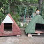 Yeni doğan kedi, polis merkezinin maskotu oldu
