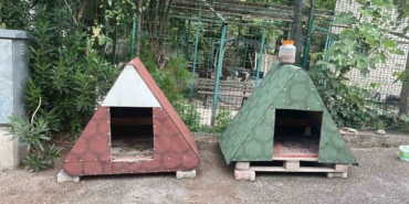 Yeni doğan kedi, polis merkezinin maskotu oldu