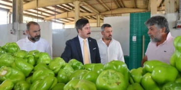 Yenişehir biberinin değeri arttırılacak