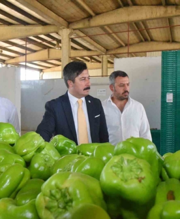 Yenişehir biberinin değeri arttırılacak