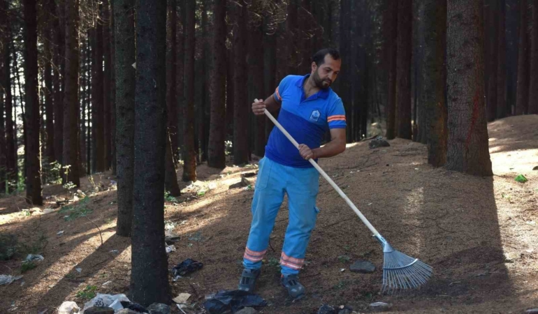 Yıldırım’da orman temizliği