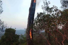 Yıldırımın neden olduğu yangın kısa sürede söndürüldü