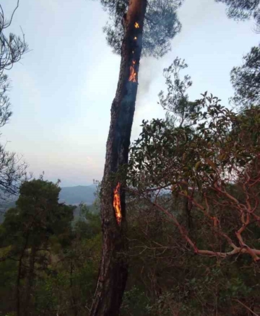 Yıldırımın neden olduğu yangın kısa sürede söndürüldü