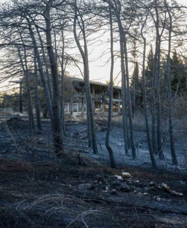YÖK Başkanı Erol Özvar: "Bu ormanlar kolay kolay yetişmiyor"