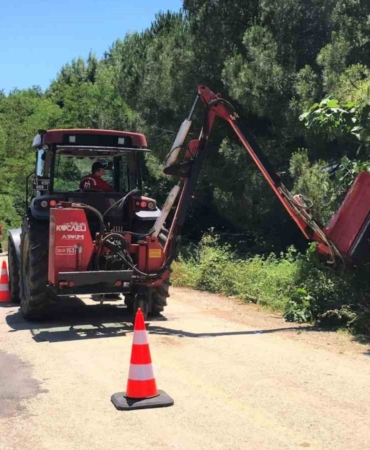 Yol kenarındaki otlar ve çalılar temizleniyor