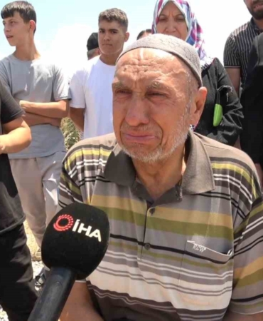 Yüzlerce ağaç kesildi yürek dayanmadı, köylüler kesilen ağaçlar için hıçkıra hıçkıra ağladı