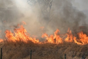 Zeytinburnu’nda otluk alandan alevler yükseldi