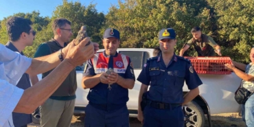 600 keklik doğaya salındı