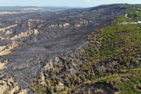 700 hektarlık alanın etkilendiği Tarihi Alan’daki yangın sonrası bölgede soğutma çalışmaları devam ediyor