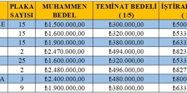 86 T plaka için son 5 gün