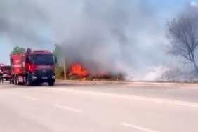 Ağaçlık alanda çıkan yangın itfaiye tarafından söndürüldü