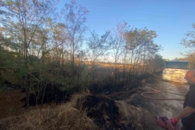 Ağaçlık alanda çıkan yangın söndürüldü