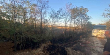 Ağaçlık alanda çıkan yangın söndürüldü