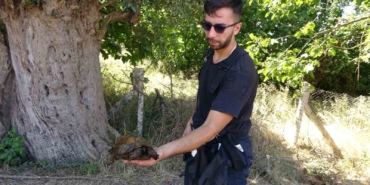 Ağaçlık alanda çıkan yangında itfaiye eri kaplumbağayı yanmaktan böyle kurtardı