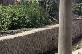 Ahır alev alev yandı, hayvanlar son onda telef olmaktan kurtarıldı