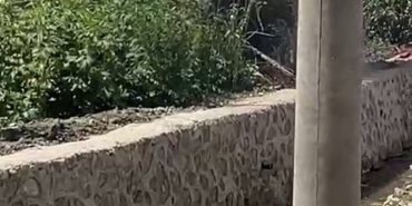 Ahır alev alev yandı, hayvanlar son onda telef olmaktan kurtarıldı