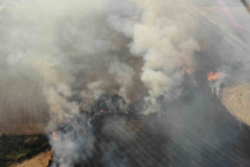 Alevlerin benzin istasyonuna ve köye sıçramasına ramak kaldı