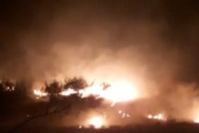 Anızdan ormana sıçrayan alevler geceyi aydınlattı