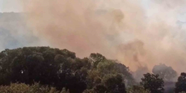 Anızdan ormana ve ayçiçeği tarlasına sıçrayan yangın söndürüldü