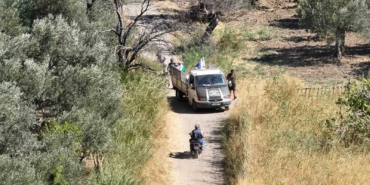 Aracı bekçilerin üzerine süren incir hırsızları tutuklandı