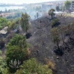 Avcılar’da otluk alanda çıkan yangın yeşili siyaha çevirdi, alan havadan görüntülendi