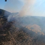 Ayvacık’ta orman yangın