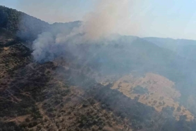 Ayvacık’ta orman yangın