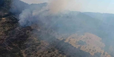 Ayvacık’ta orman yangın