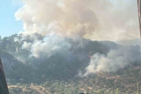 Ayvacık’taki orman yangını kontrol altına alındı