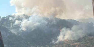 Ayvacık’taki orman yangını kontrol altına alındı