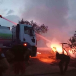 Ayvalık’ta-çıkan yangın korkuttu