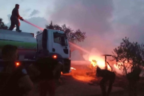 Ayvalık’ta-çıkan yangın korkuttu