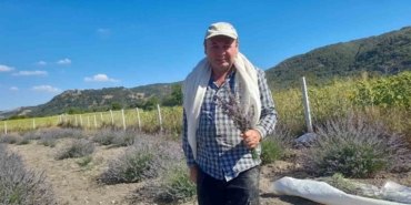 Babasından kalan tarlasına lavanta ekti, yüzde 90 verim aldı